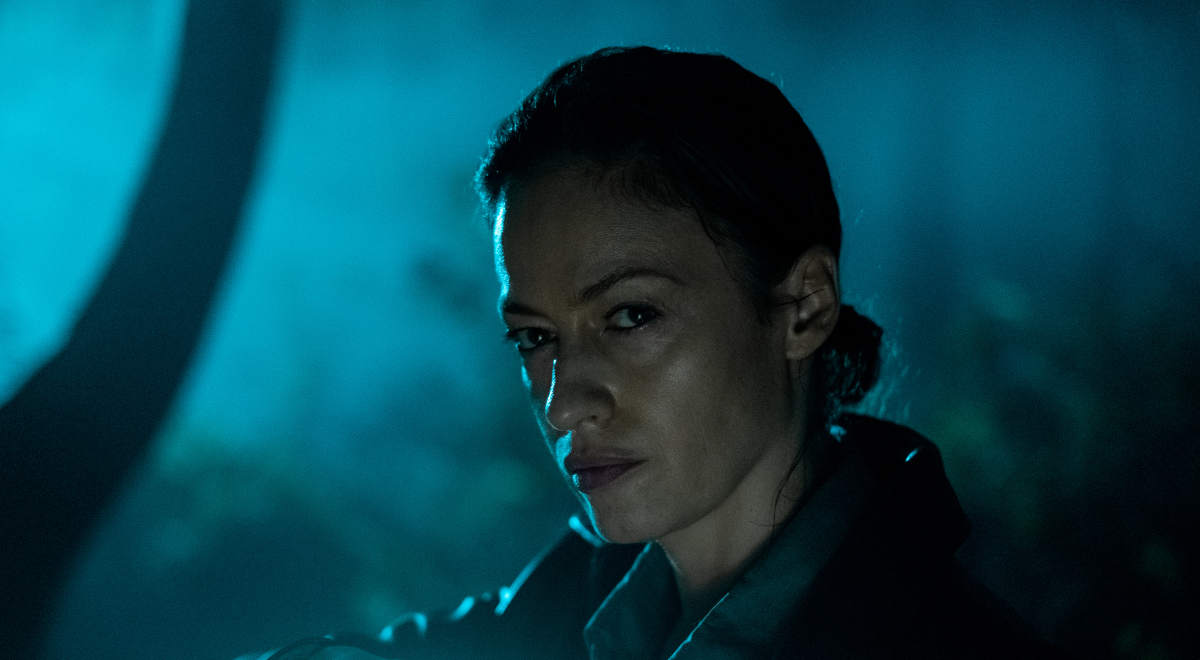 Netflix zapowiada 11 nowych polskich produkcji, w tym „Rojst’97”, „Sexify” i „Jak pokochałam gangstera”