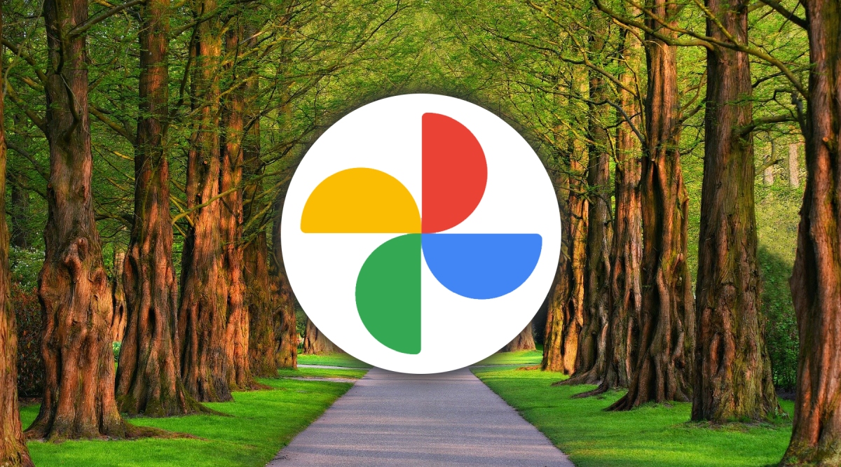 Zdjęcia Google z nowymi narzędziami do edycji