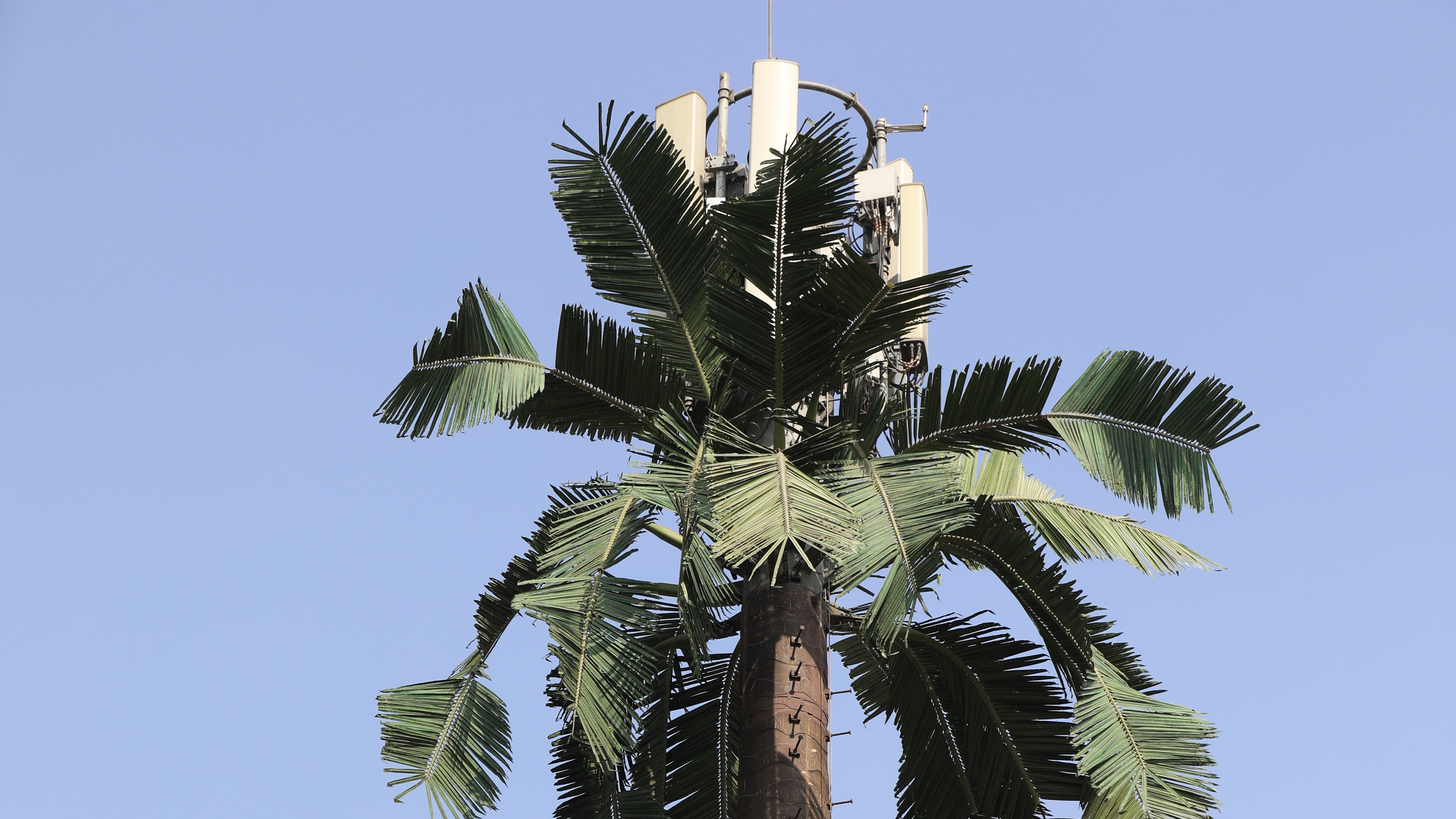 5G w Indiach: w końcu ruszą testy, ale bez Huawei i ZTE