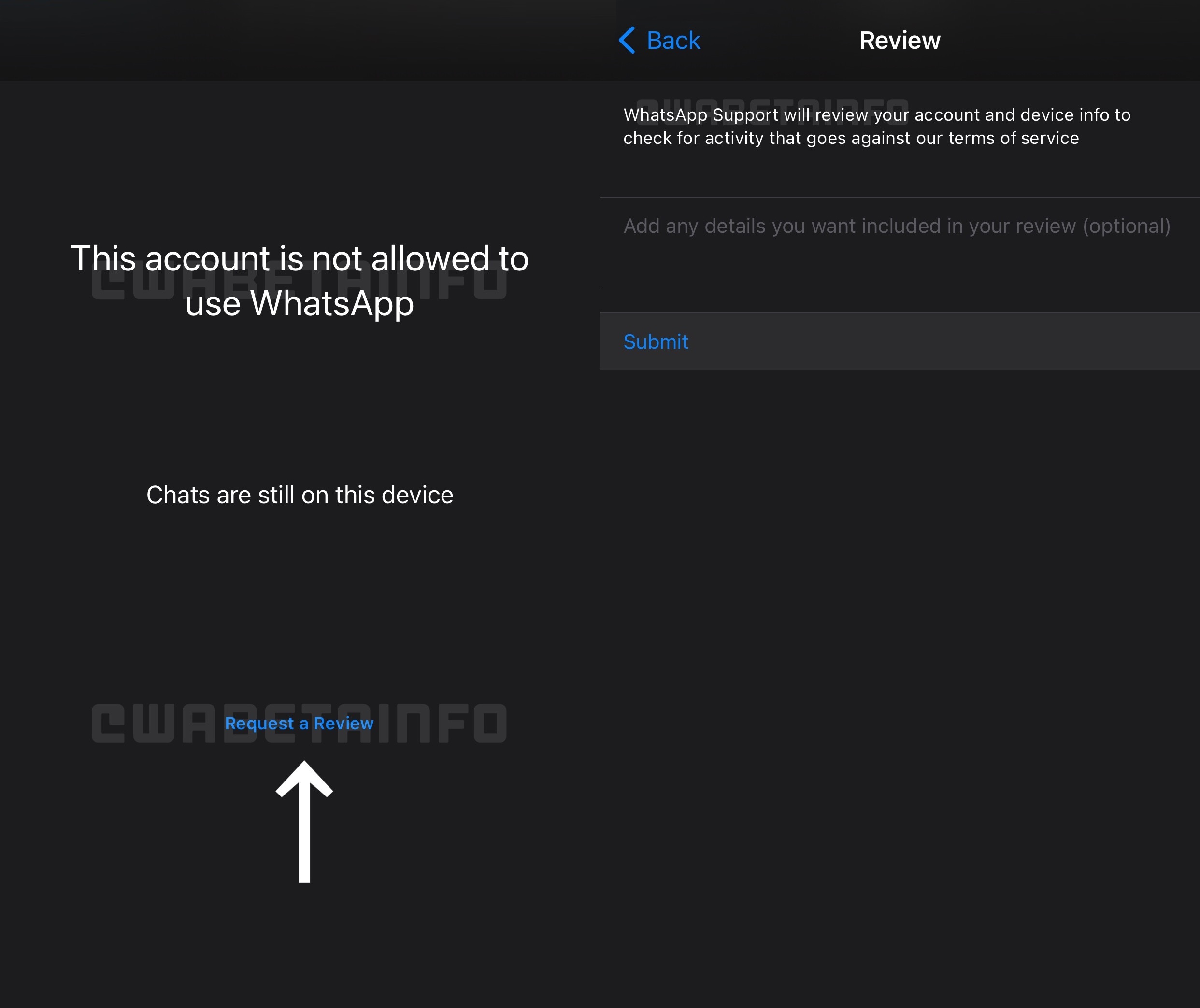 WhatsApp już Ci nie wytnie konta. Nie od razu
