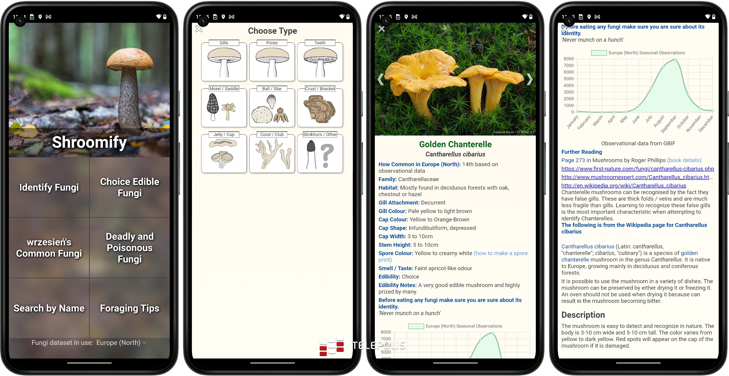 Idziesz na grzyby? Musisz to mieć! Najlepsze aplikacje z Google Play i App Store
