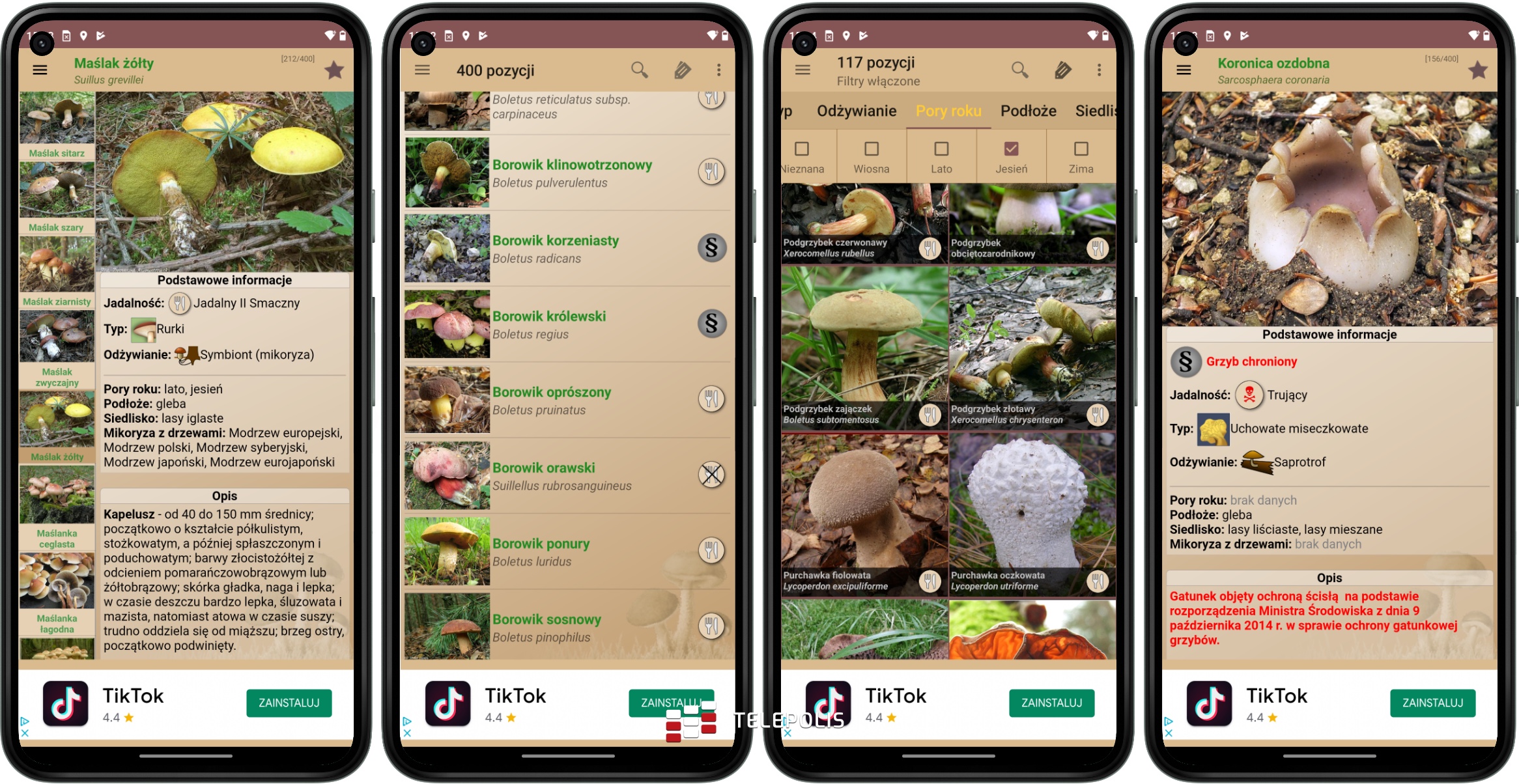 Idziesz na grzyby? Musisz to mieć! Najlepsze aplikacje z Google Play i App Store
