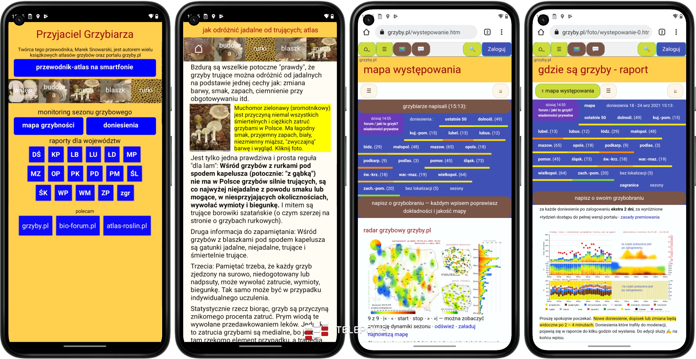 Idziesz na grzyby? Musisz to mieć! Najlepsze aplikacje z Google Play i App Store