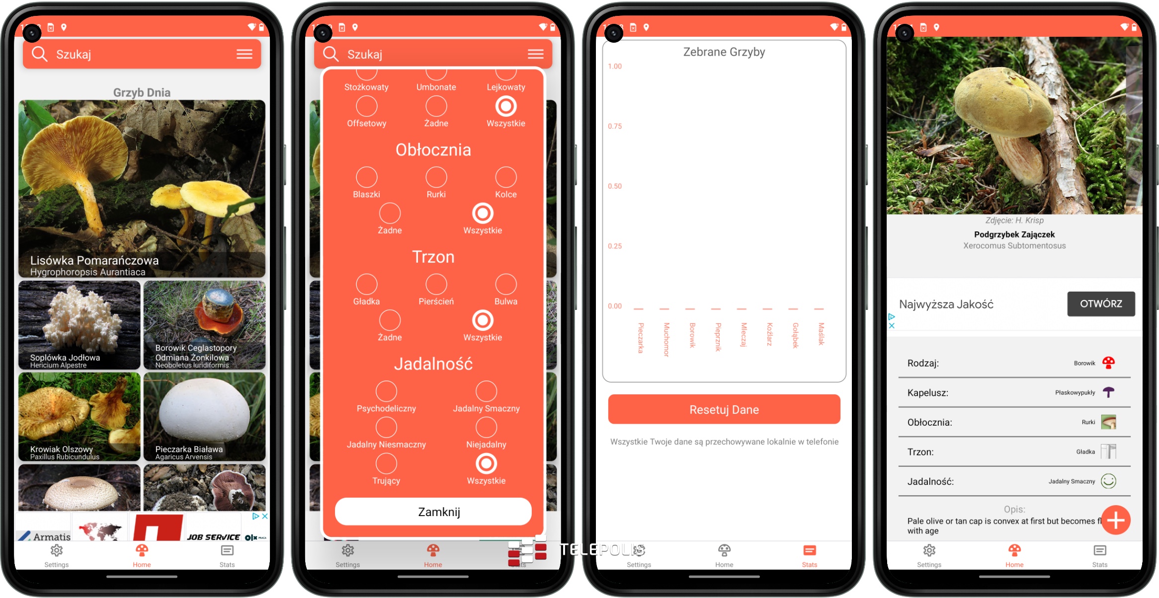 Idziesz na grzyby? Musisz to mieć! Najlepsze aplikacje z Google Play i App Store