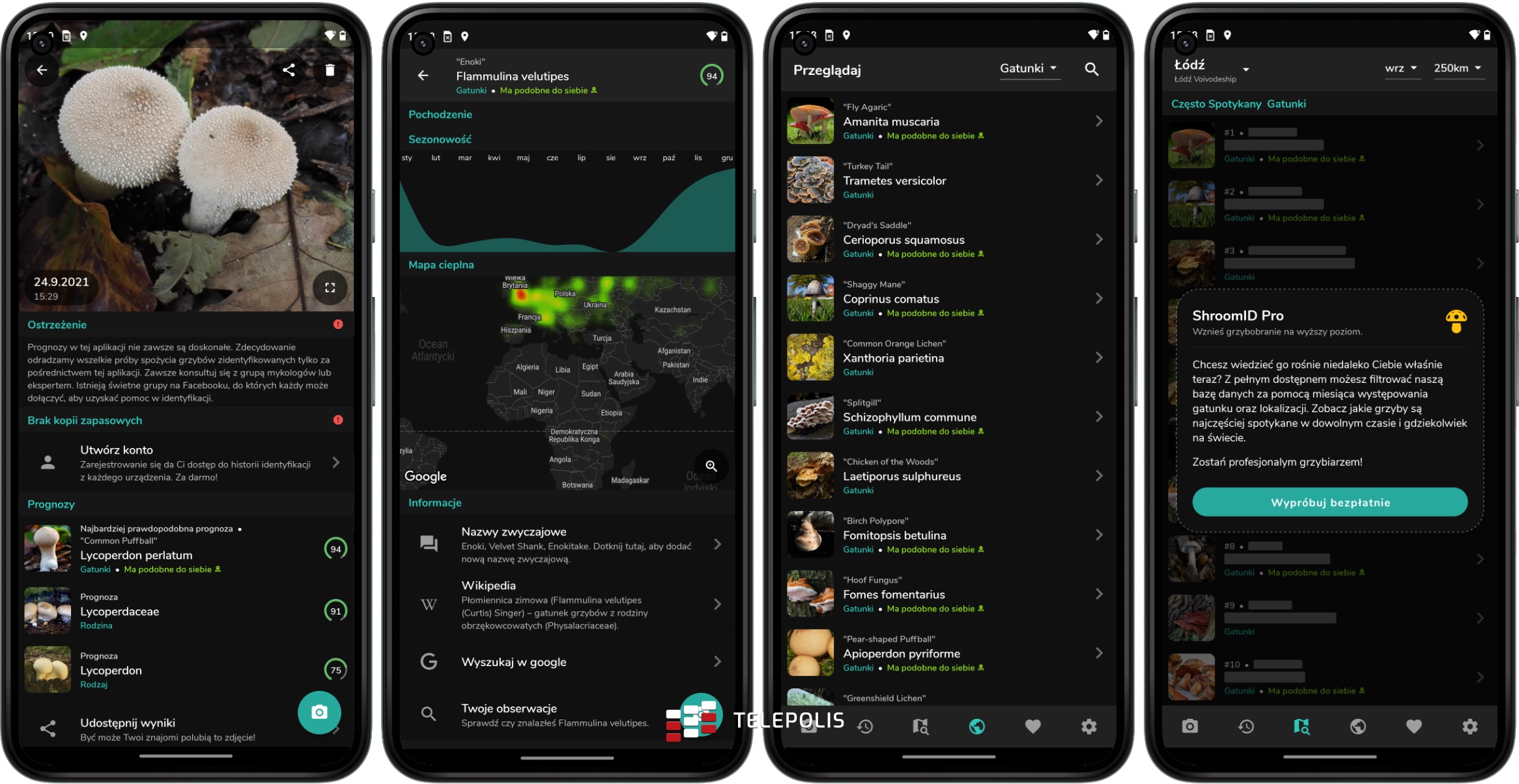 Idziesz na grzyby? Musisz to mieć! Najlepsze aplikacje z Google Play i App Store