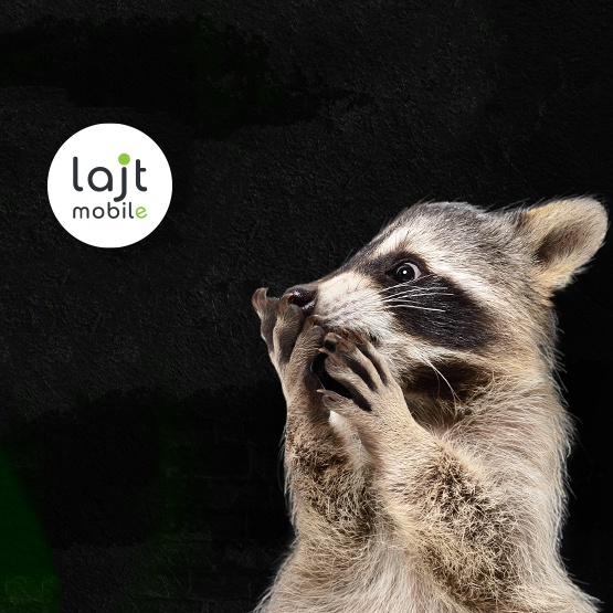 Lajt mobile: złap okazję na Black Friday