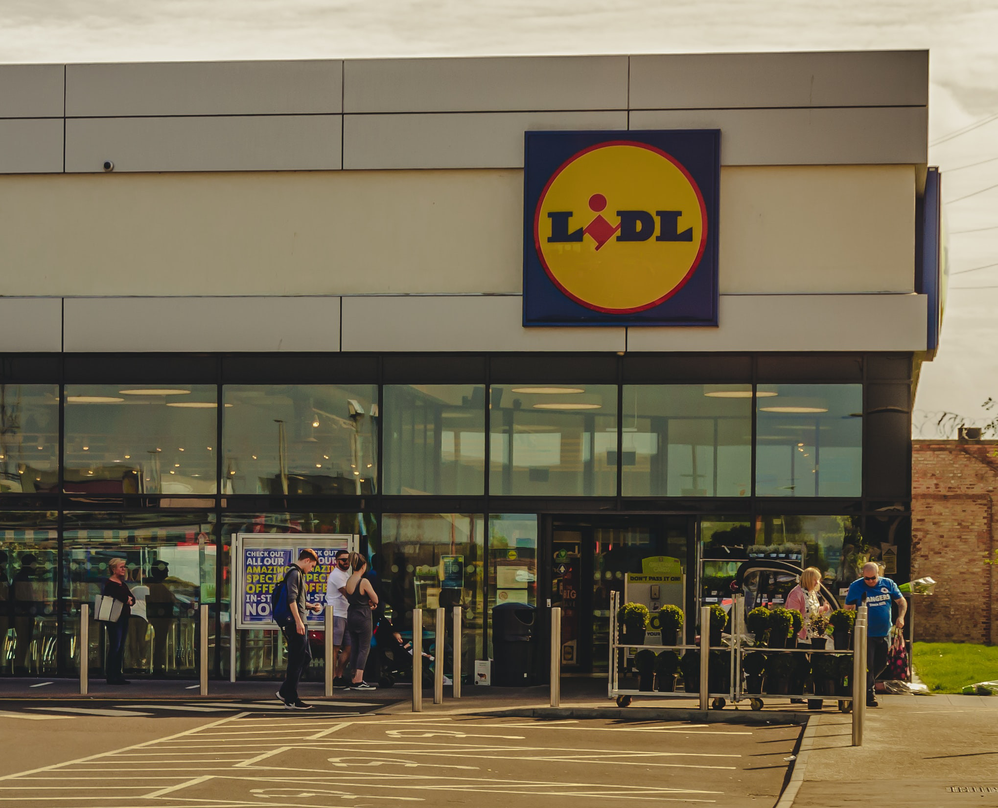 Lidl z kapitalną promocją. Hit ponad 60 proc. taniej
