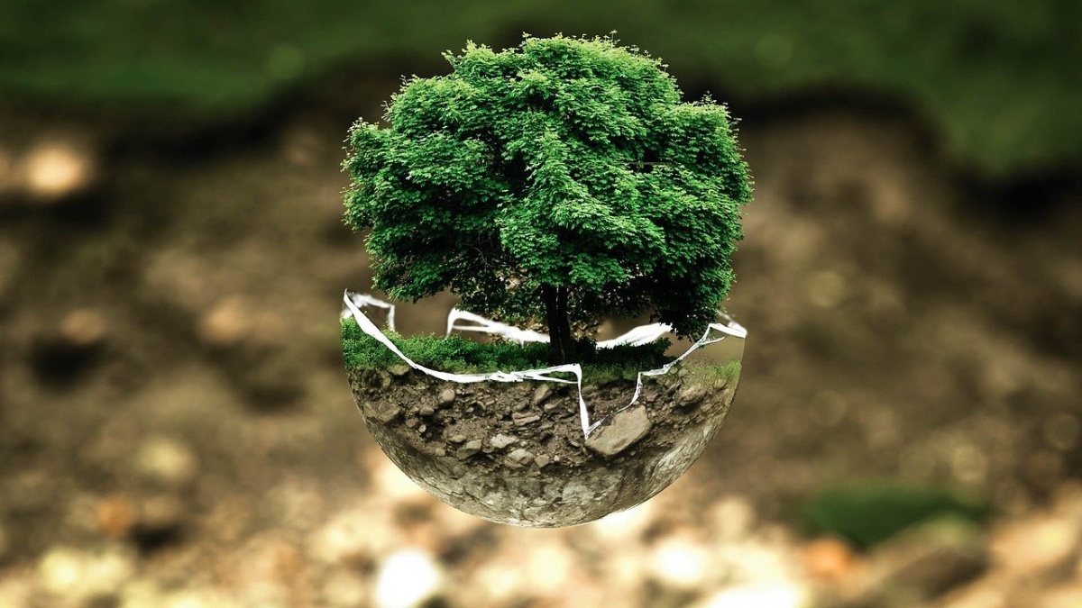 Visa Eco Benefits – pakiet korzyści dla ochrony klimatu