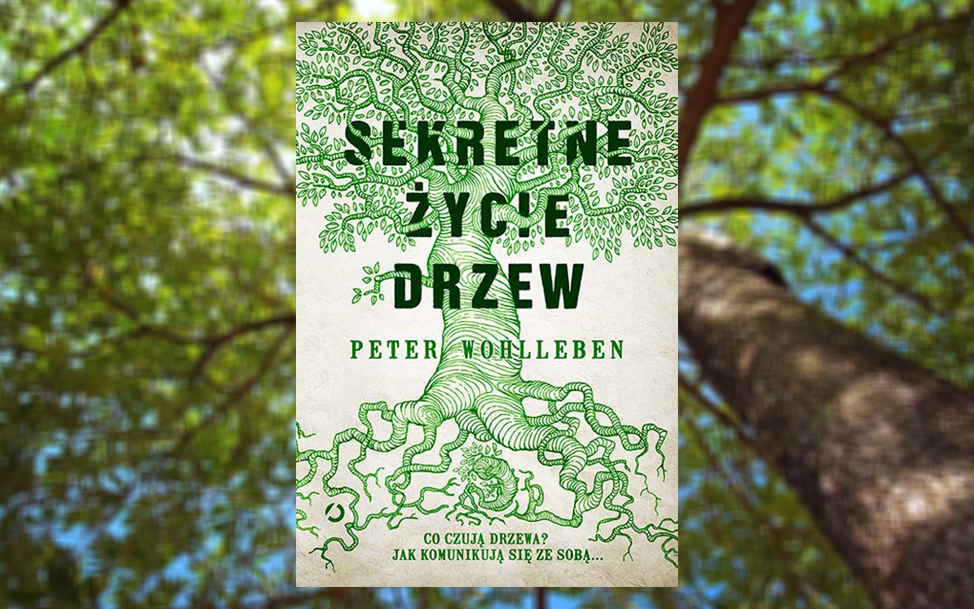 Brakuje Ci pomysłu na prezent? Najlepsze książki na Święta - część 3