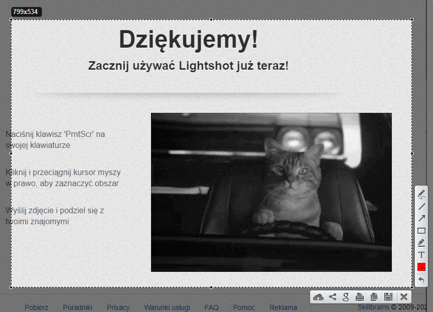 Windows 11. Najlepsze darmowe programy do robienia screenshotów