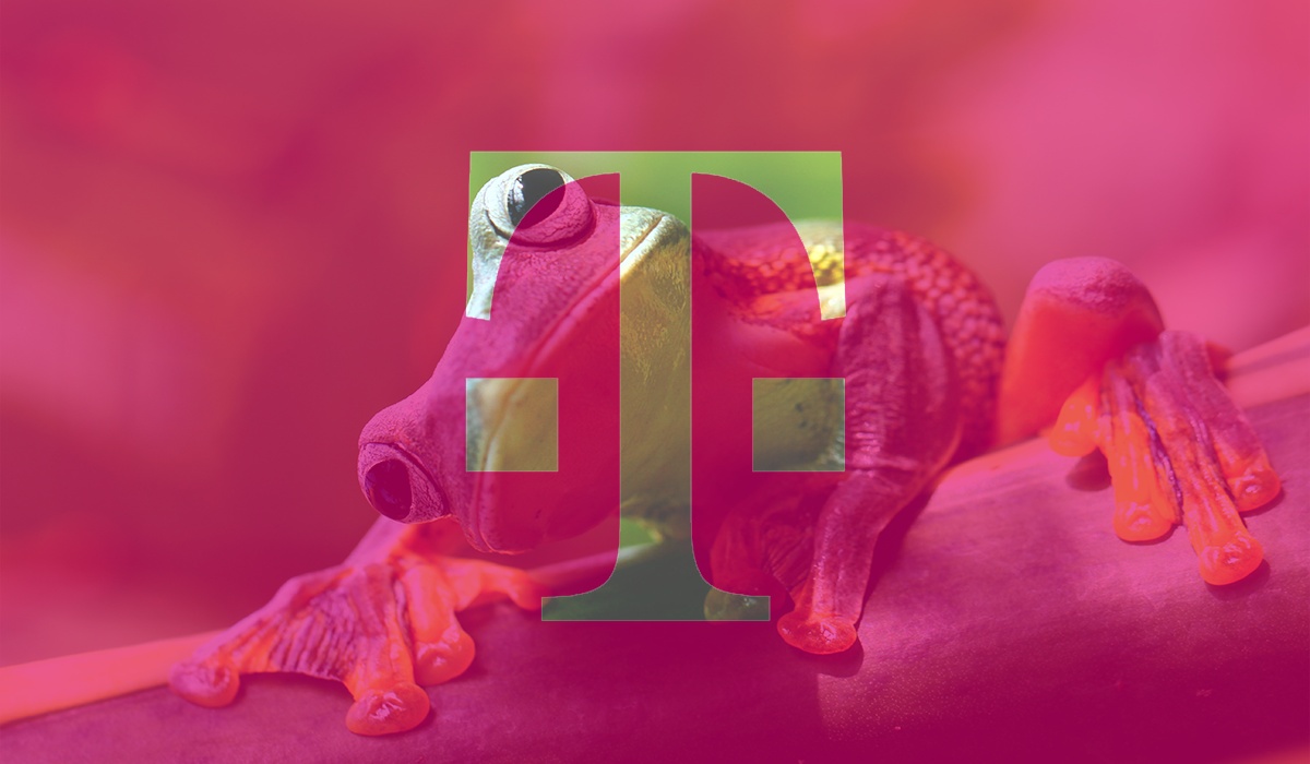 T-Mobile ma nowy starter internetowy. Kupicie go w Żabce