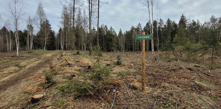 Orange zasadził dzięki klientom ponad 5,5 ha nowego lasu