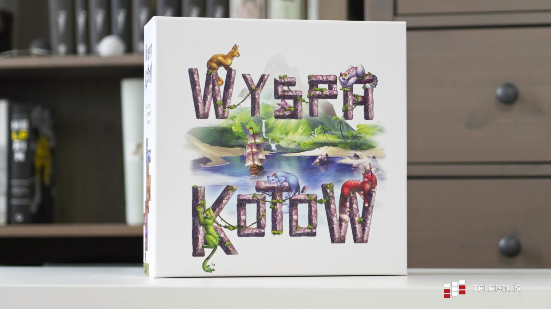 Wyspa Kotów - spełnienie marzeń każdego kociarza?