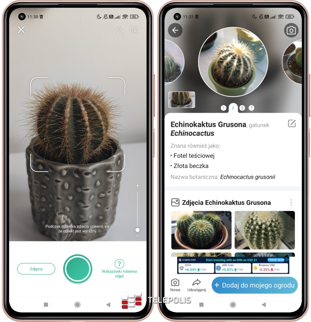 Twoje rośliny Ci podziękują. Przydatne aplikacje z Google Play #88