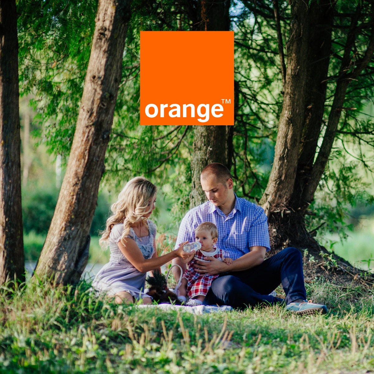 Zielony Tydzień w Orange to specjalne promocje i inne atrakcje