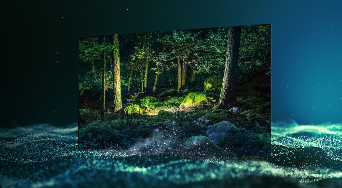 Samsung OLED do kupienia w Polsce w dwóch rozmiarach