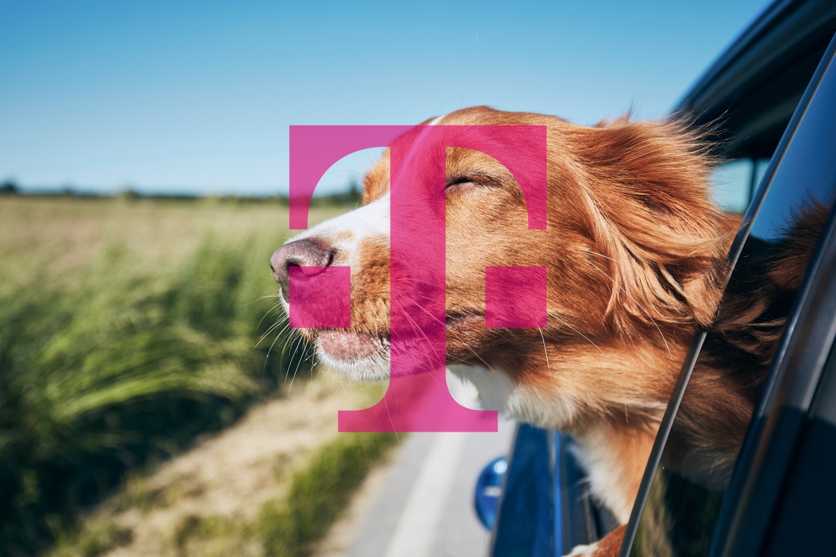 T-Mobile ma weekendowy prezent dla miłośników czworonogów