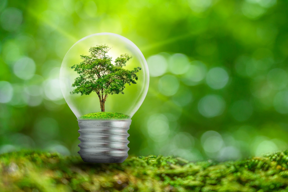Zielona energia to krok ku lepszej jakości życia lokalnych społeczności
