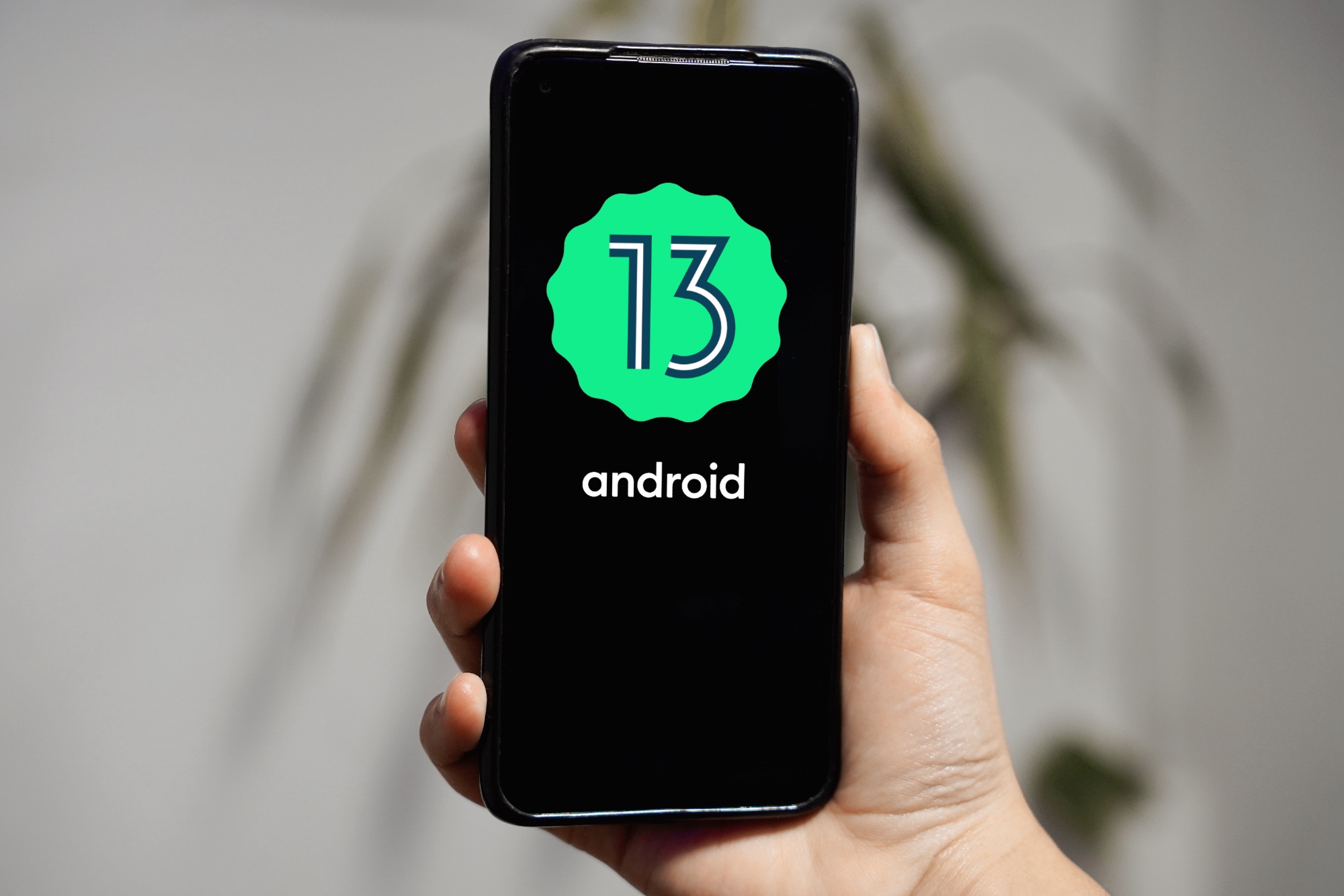 Czekasz na Androida 13? No to jeszcze poczekasz