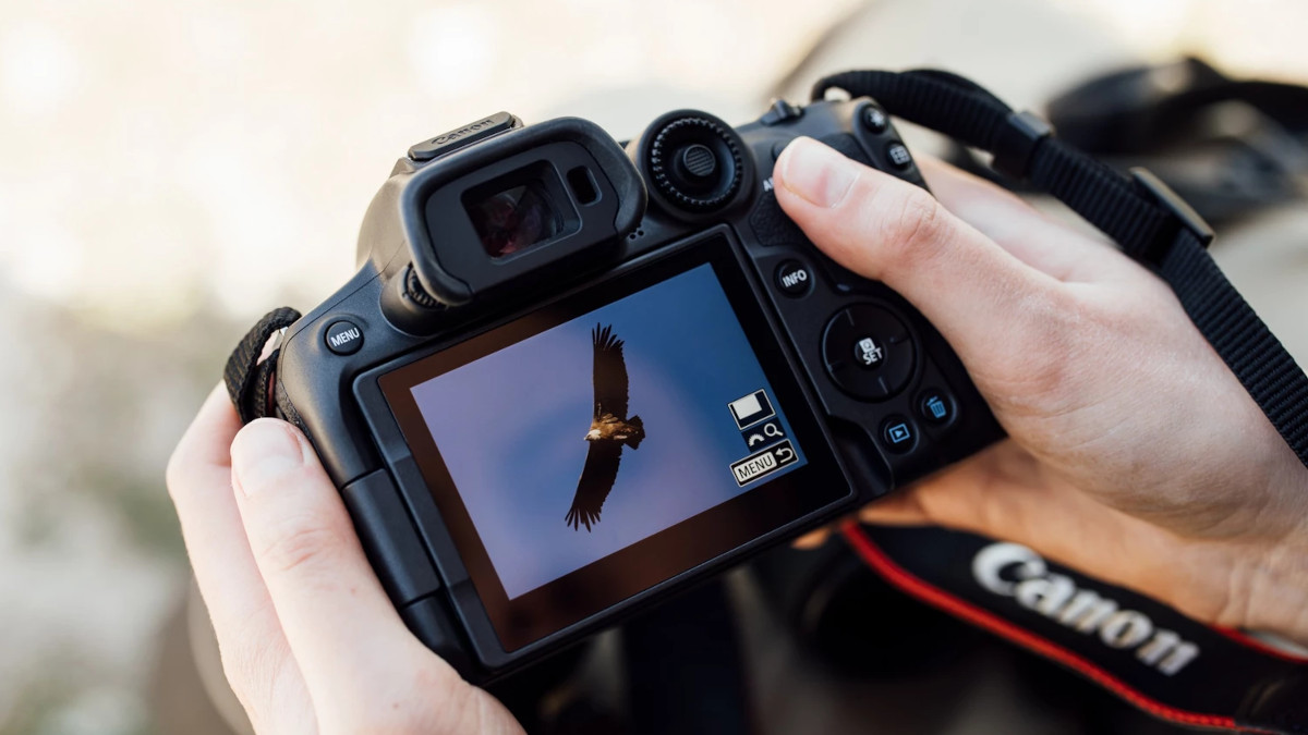 Mały może więcej! Sprawdziłem aparat Canon EOS R7