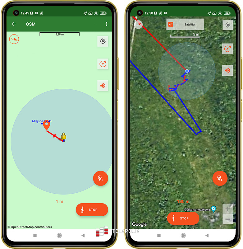 Gdzie na grzyby? Jadalny czy trujący? Te aplikacje mają odpowiedź