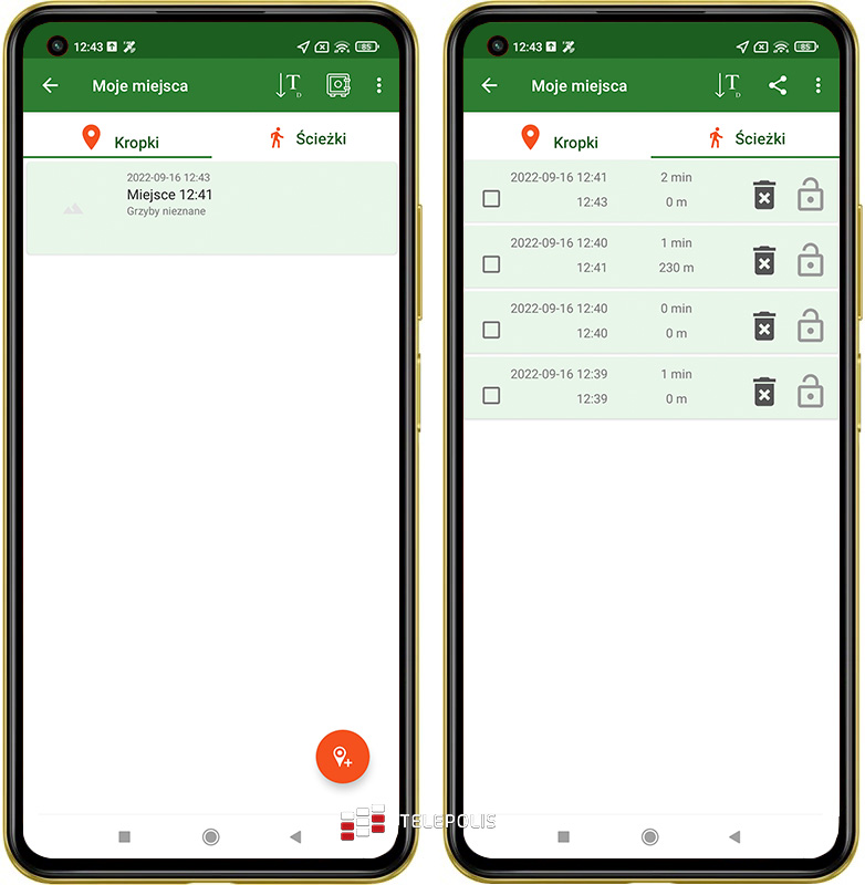 Gdzie na grzyby? Jadalny czy trujący? Te aplikacje mają odpowiedź