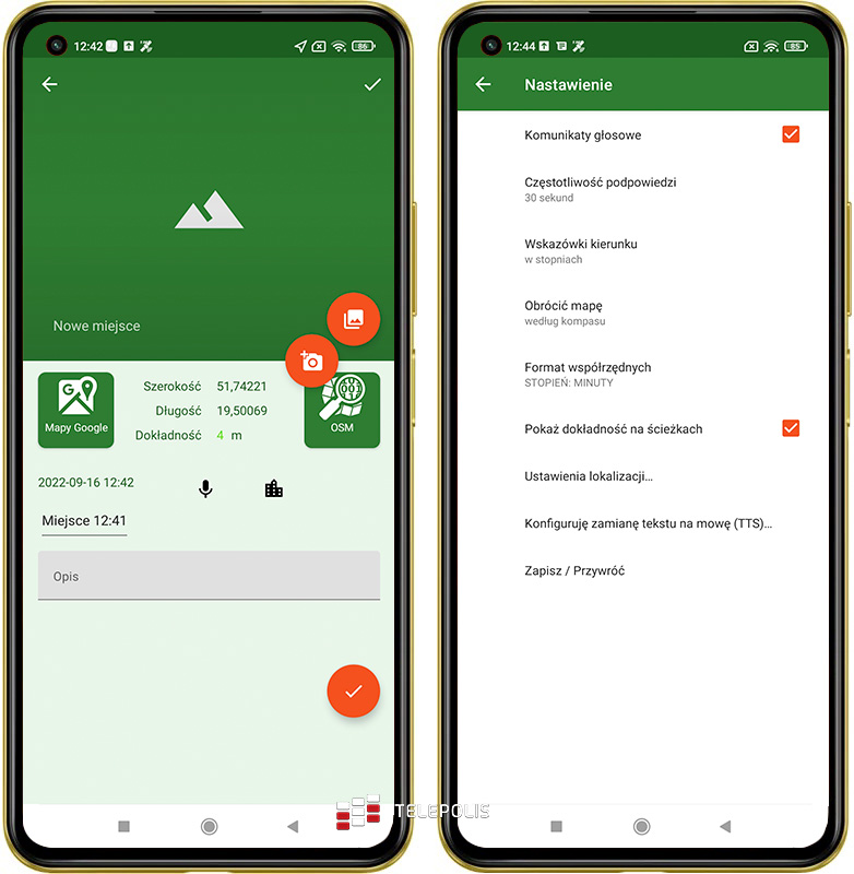 Gdzie na grzyby? Jadalny czy trujący? Te aplikacje mają odpowiedź