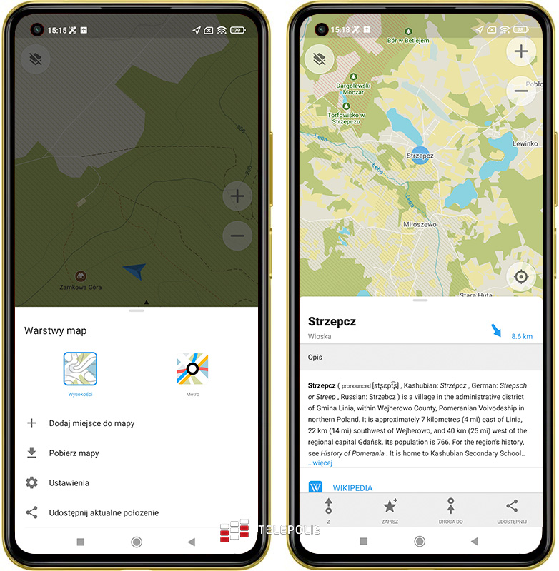 Gdzie na grzyby? Jadalny czy trujący? Te aplikacje mają odpowiedź