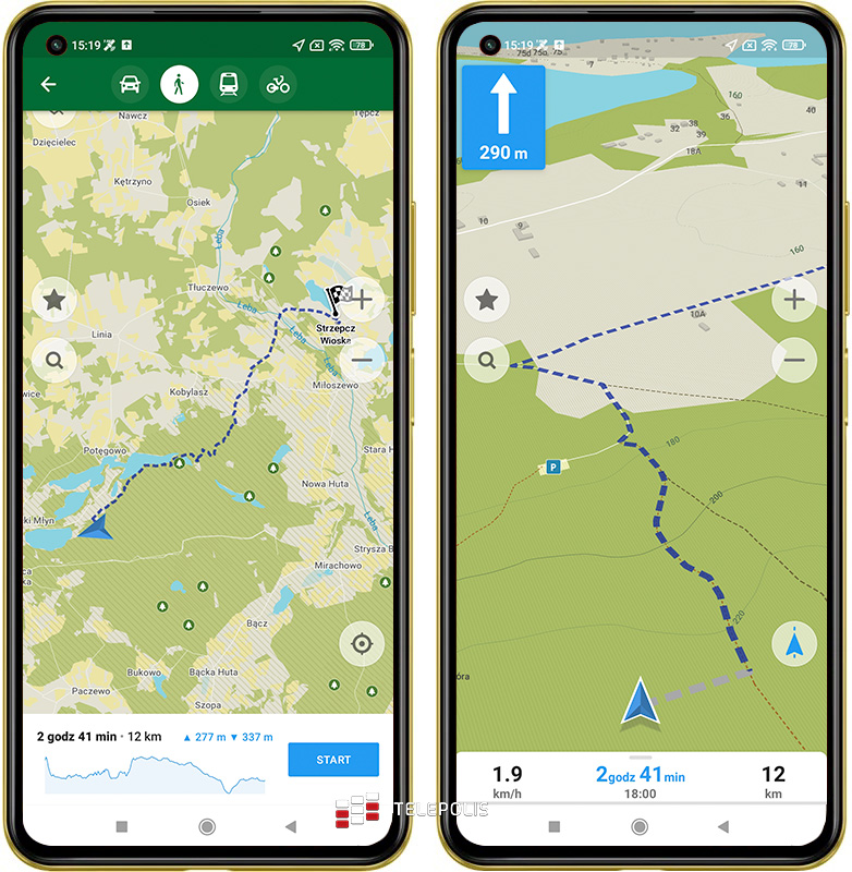 Gdzie na grzyby? Jadalny czy trujący? Te aplikacje mają odpowiedź