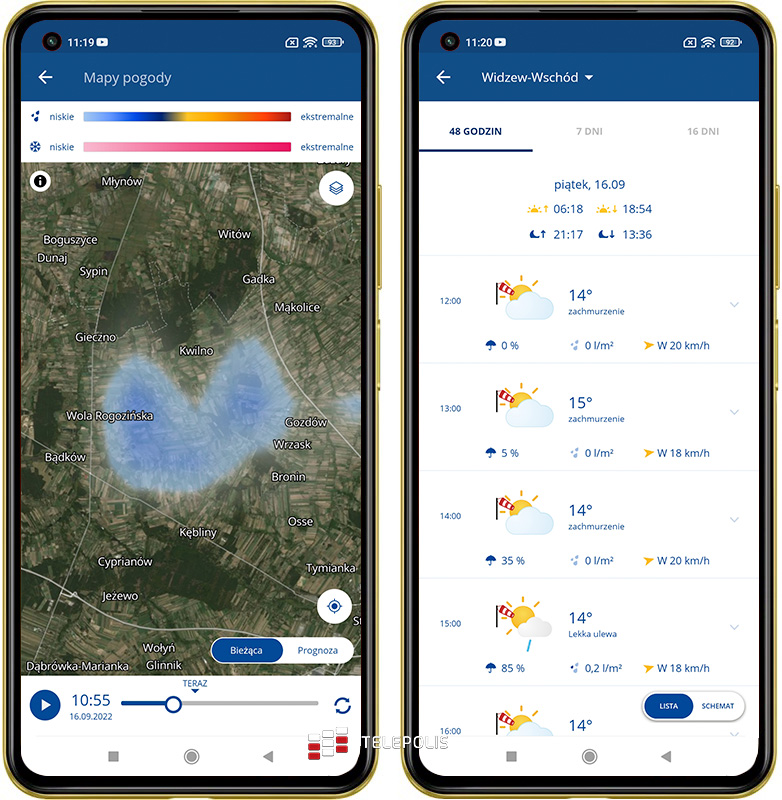 Gdzie na grzyby? Jadalny czy trujący? Te aplikacje mają odpowiedź