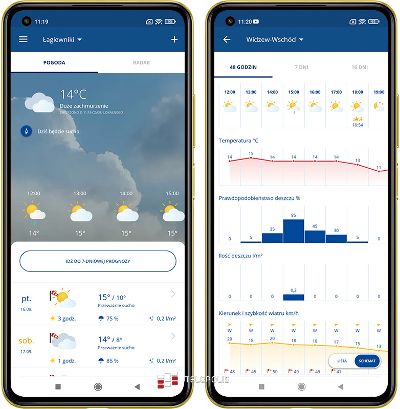 Gdzie na grzyby? Jadalny czy trujący? Te aplikacje mają odpowiedź