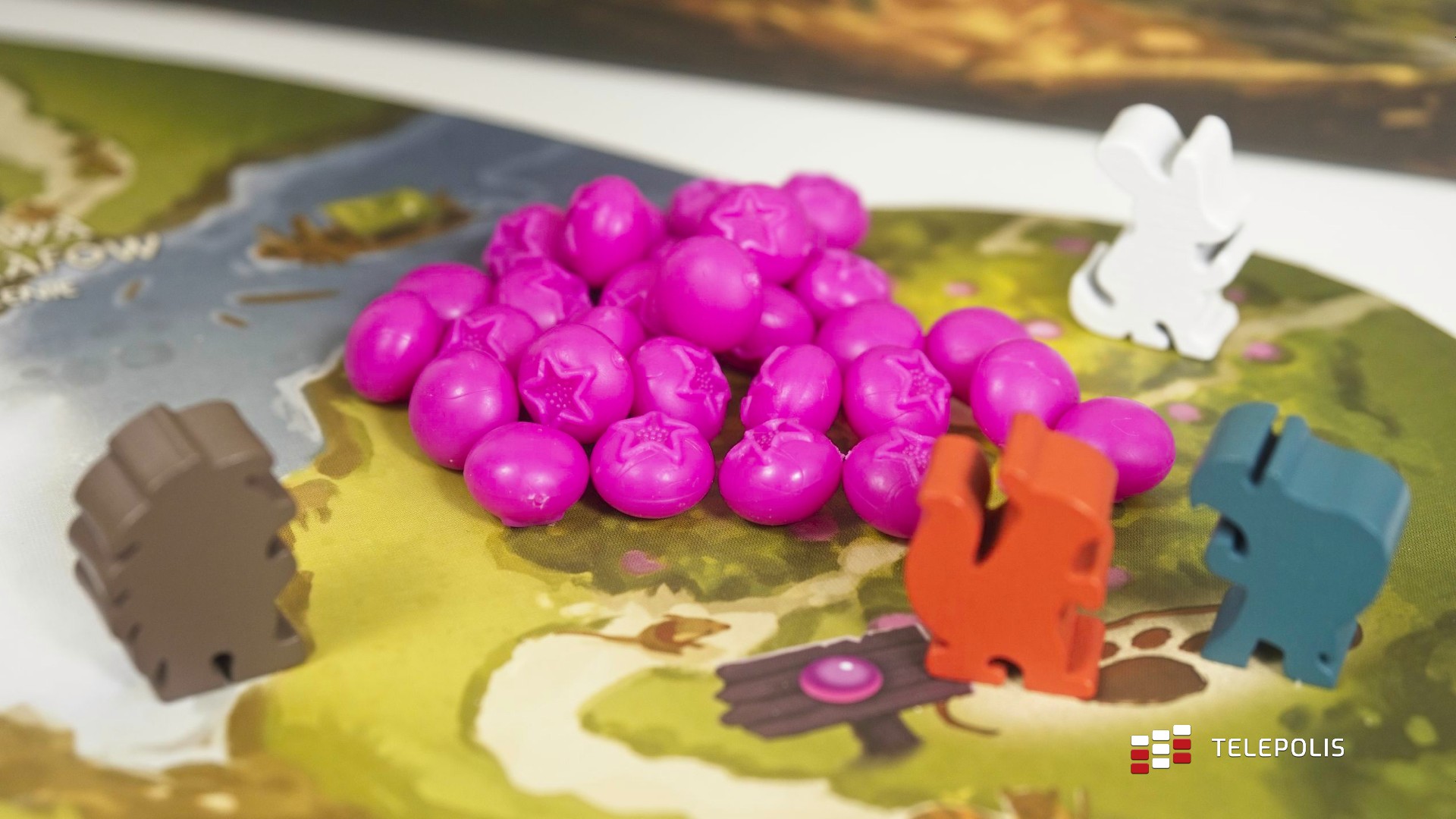 Everdell - gra planszowa, która oczaruje każdego
