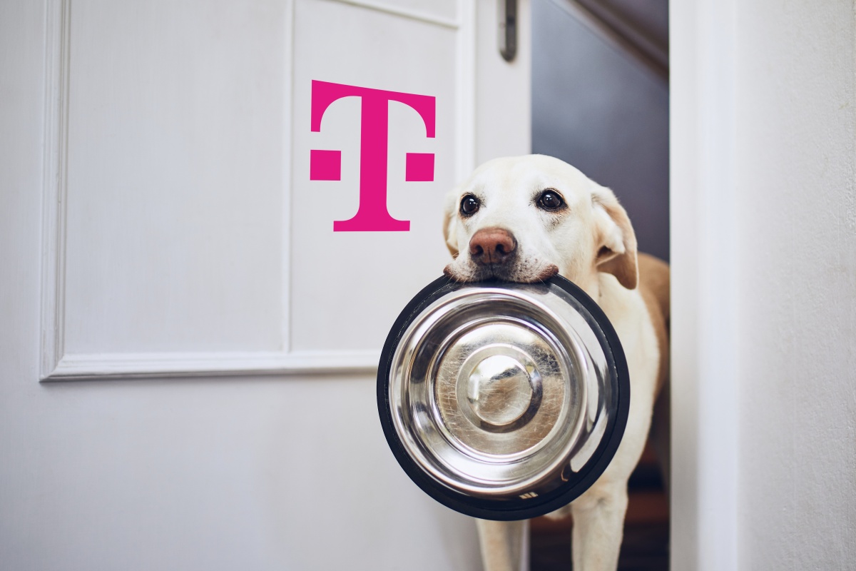 T-Mobile znowu pomyślał o posiadaczach psów