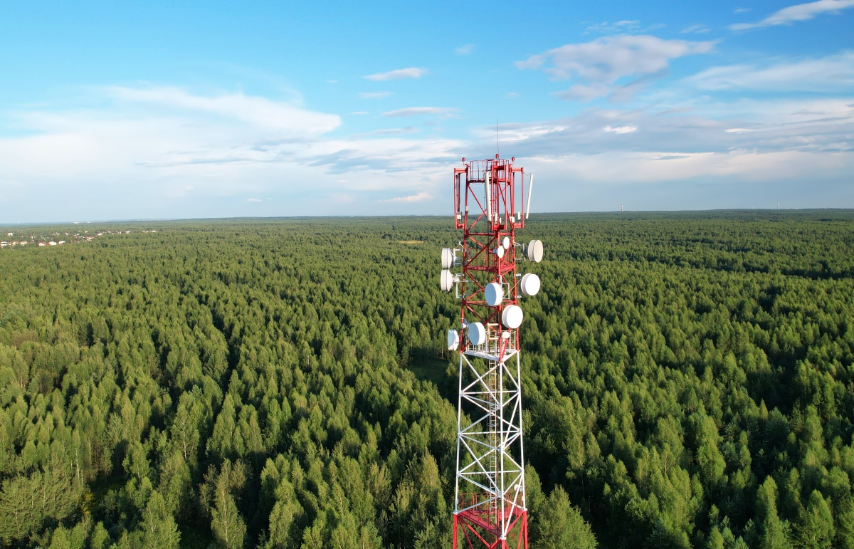 Wolicie 5G czy drzewa? Pyta „ekspert” z Instytutu Spraw Obywatelskich