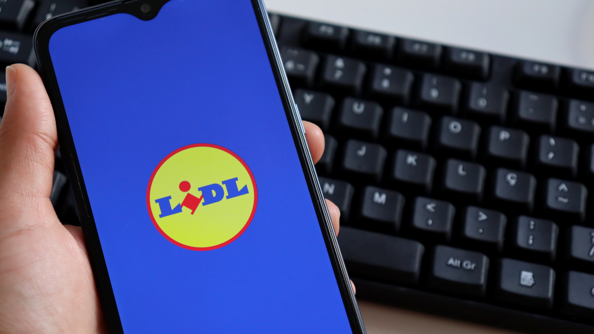 Lidl rzuca przydatny sprzęt. Ceny od kilkunastu złotych