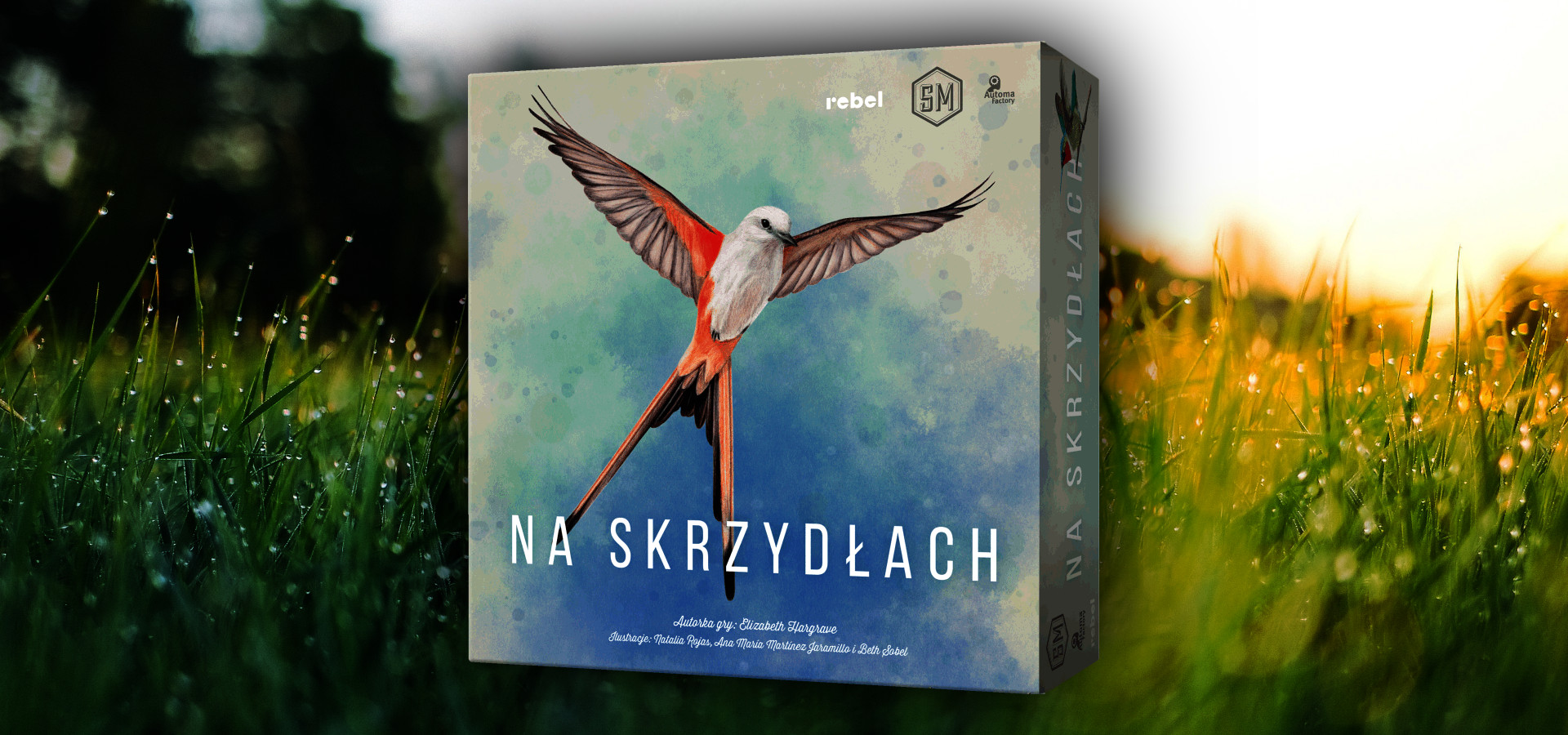 Najlepsze planszówki dla początkujących – część 2
