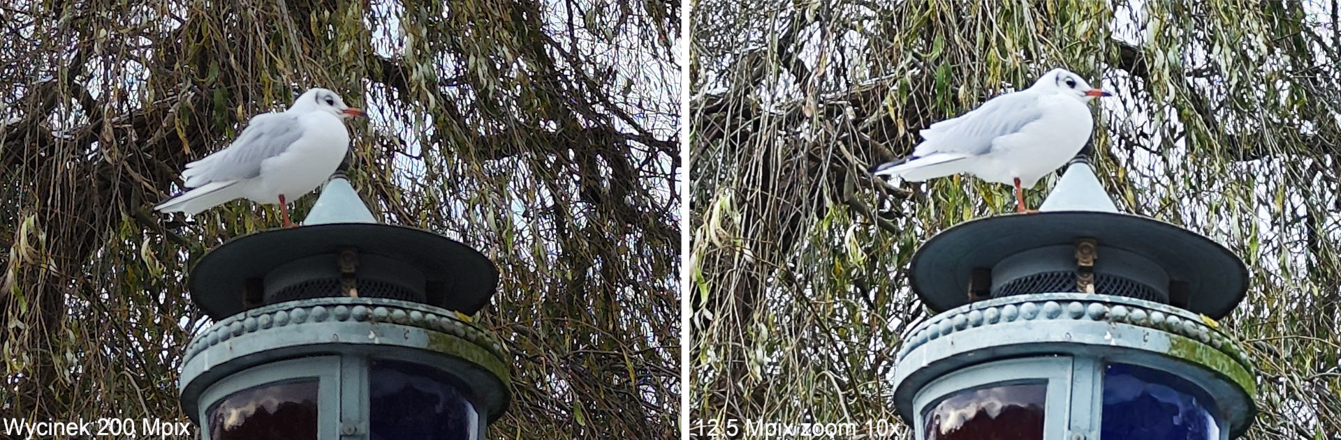 Xiaomi 12T Pro nie ma litości dla flagowców. Bije równo (test)