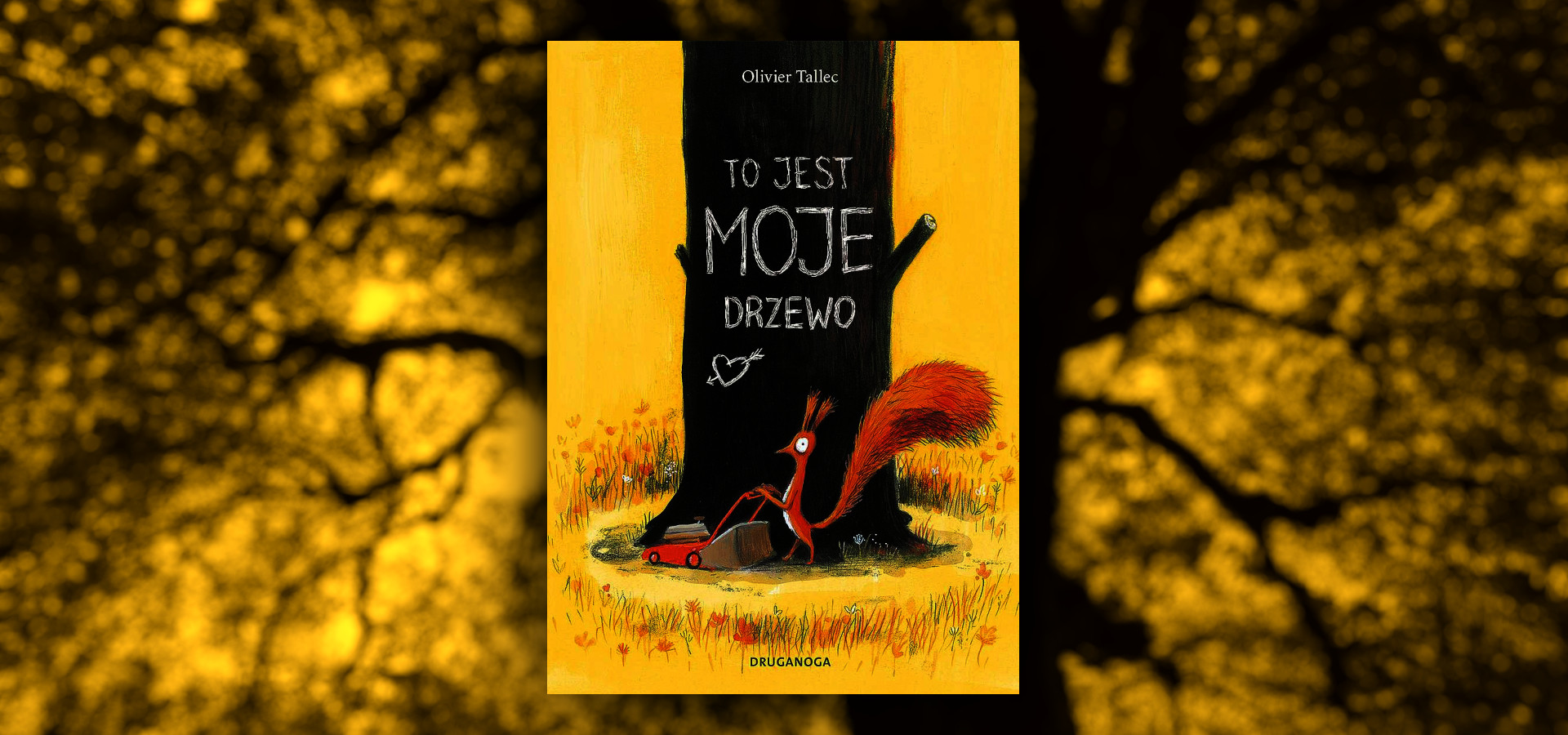 Szukasz prezentu na Mikołaja? Idealne książki dla dziecka