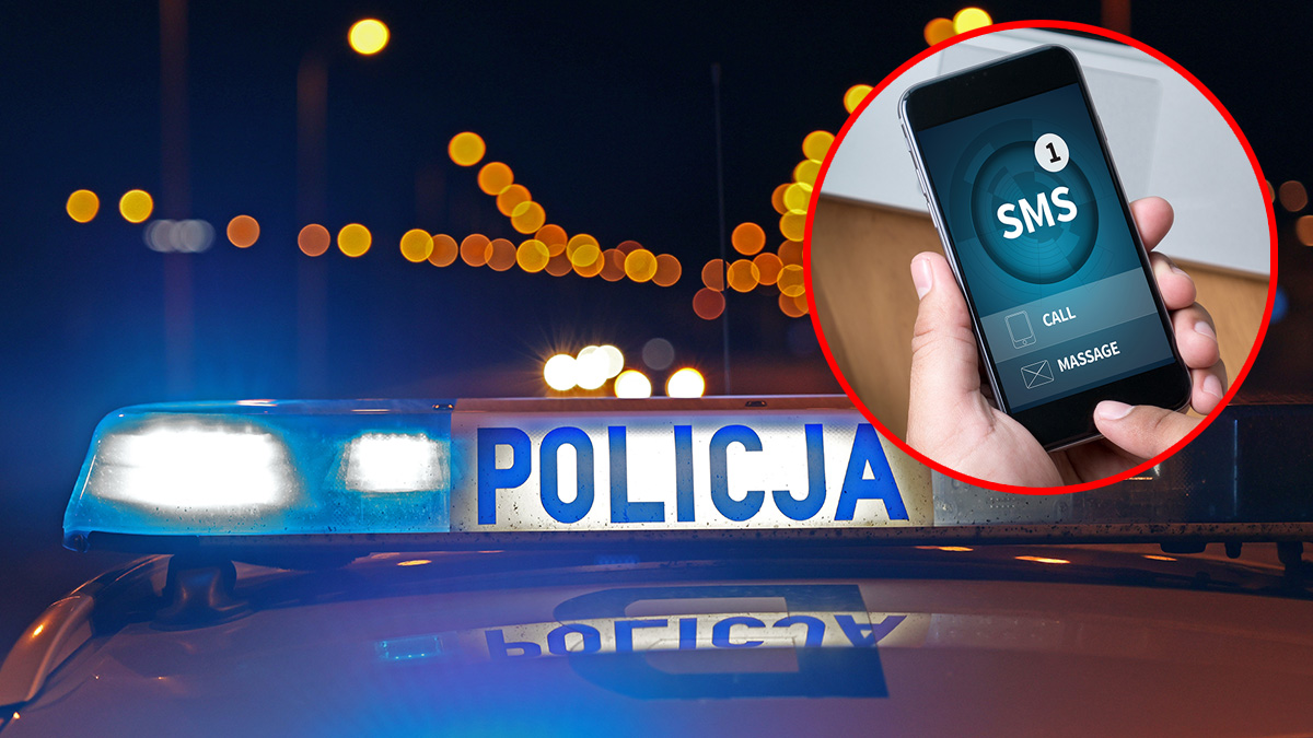 Nacinali Polaków. Policja rozbiła groźną szajkę