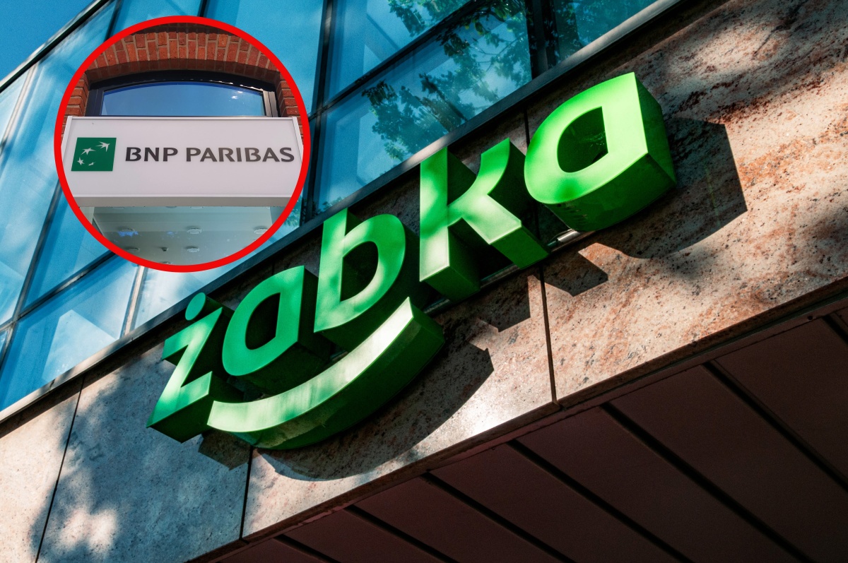 Żabka z nową usługą. Wszystko załatwisz przy kasie
