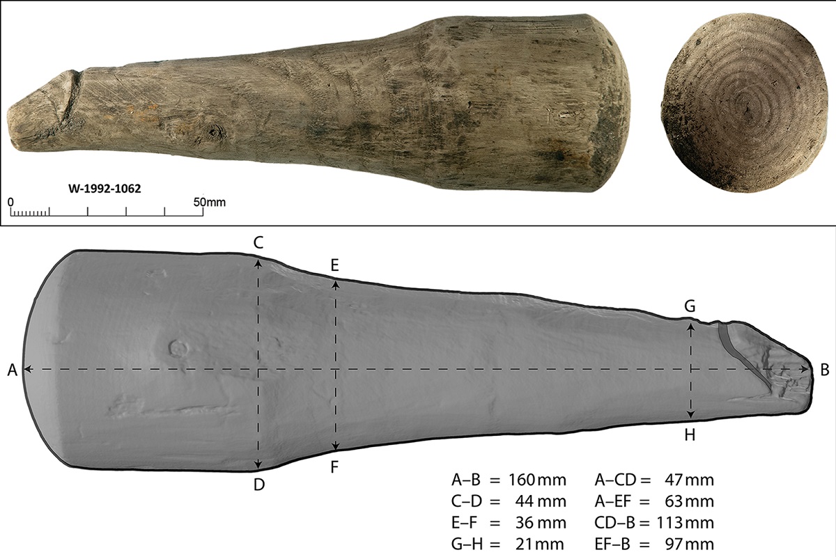 Archeologiczny hit. Oto najstarsza zabawka erotyczna