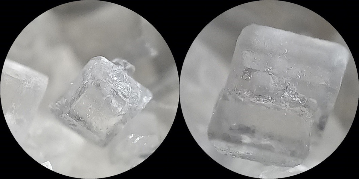 Oppo Reno8 T debiutuje w Polsce. Do wyboru dwie wersje kolorystyczne