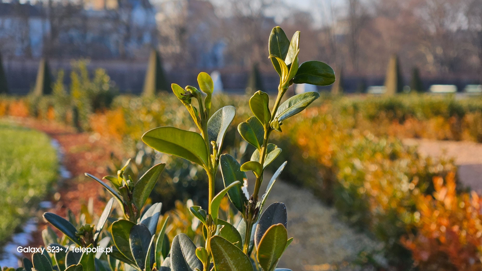 Redaktorzy TELEPOLIS.PL idą na noże. Pomóż nam podjąć decyzję