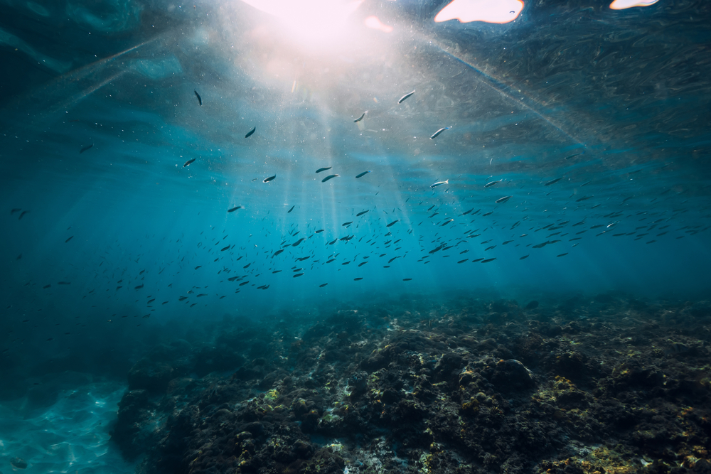 Sensacja na dnie oceanu. Sądzą, że to sonda kosmitów