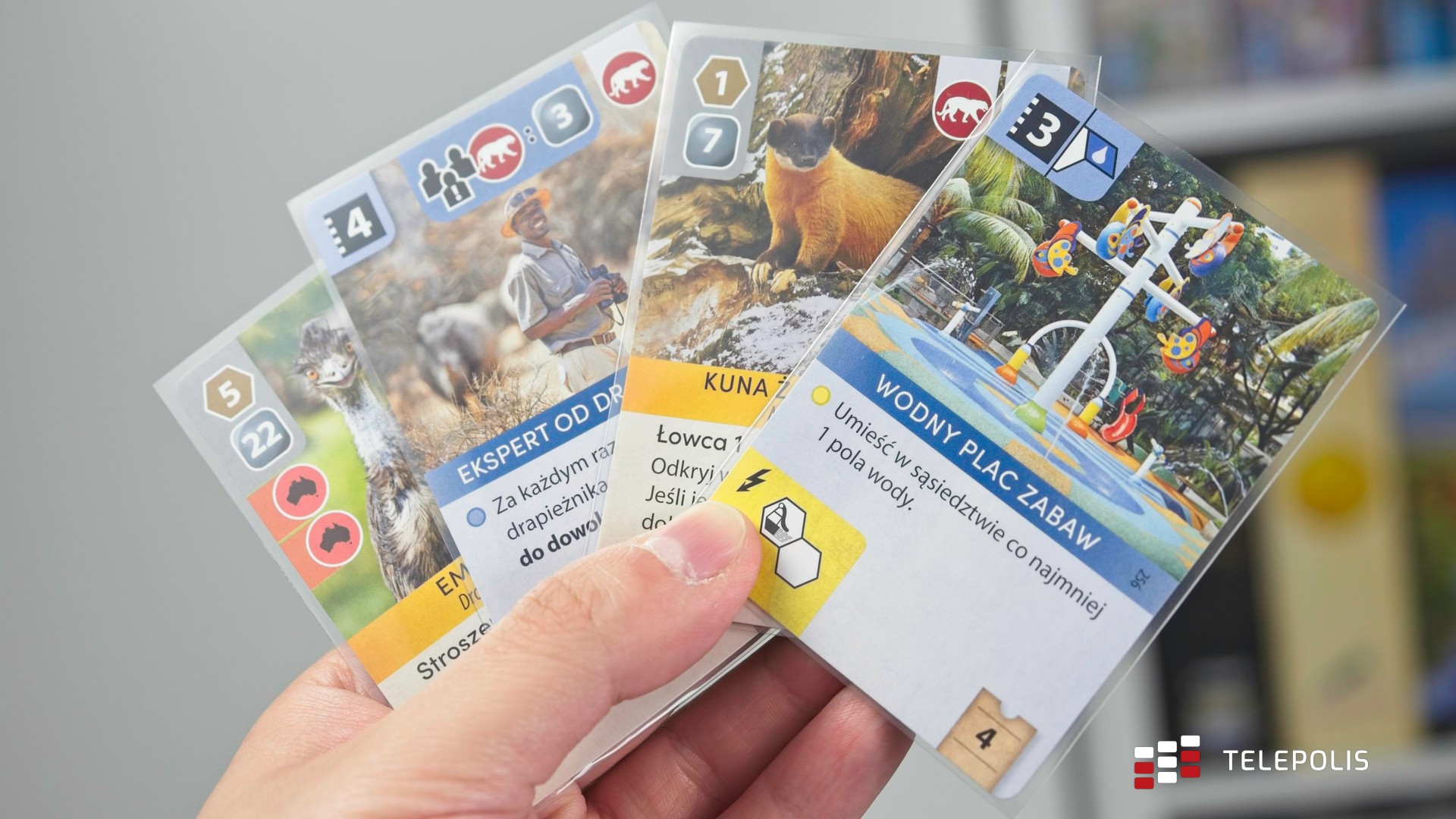 Ark Nova – zbuduj ZOO i uratuj pandy!