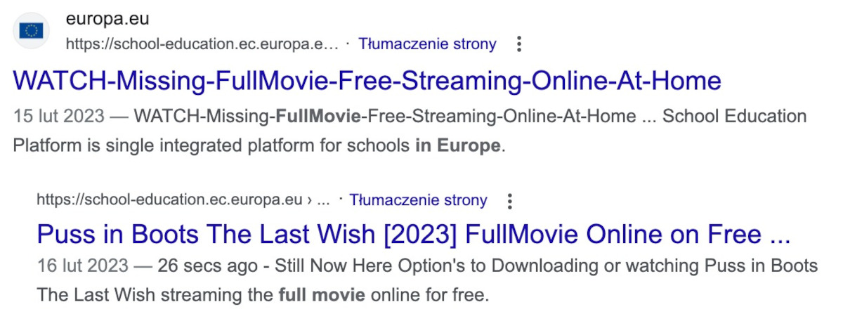 Unia Europejska oskarżana o... piractwo. Użytkownicy zagrożeni