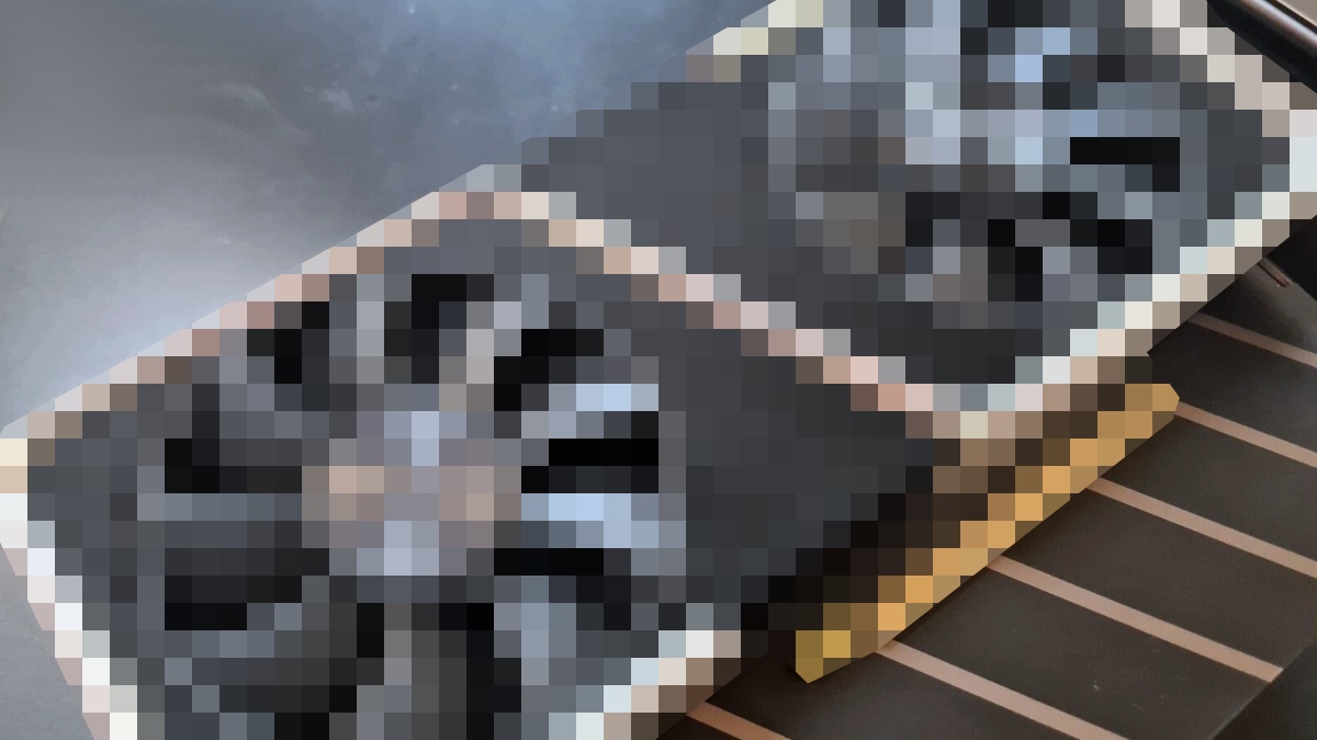 NVIDIA GeForce RTX 4060 Ti pozuje do zdjęć w negliżu