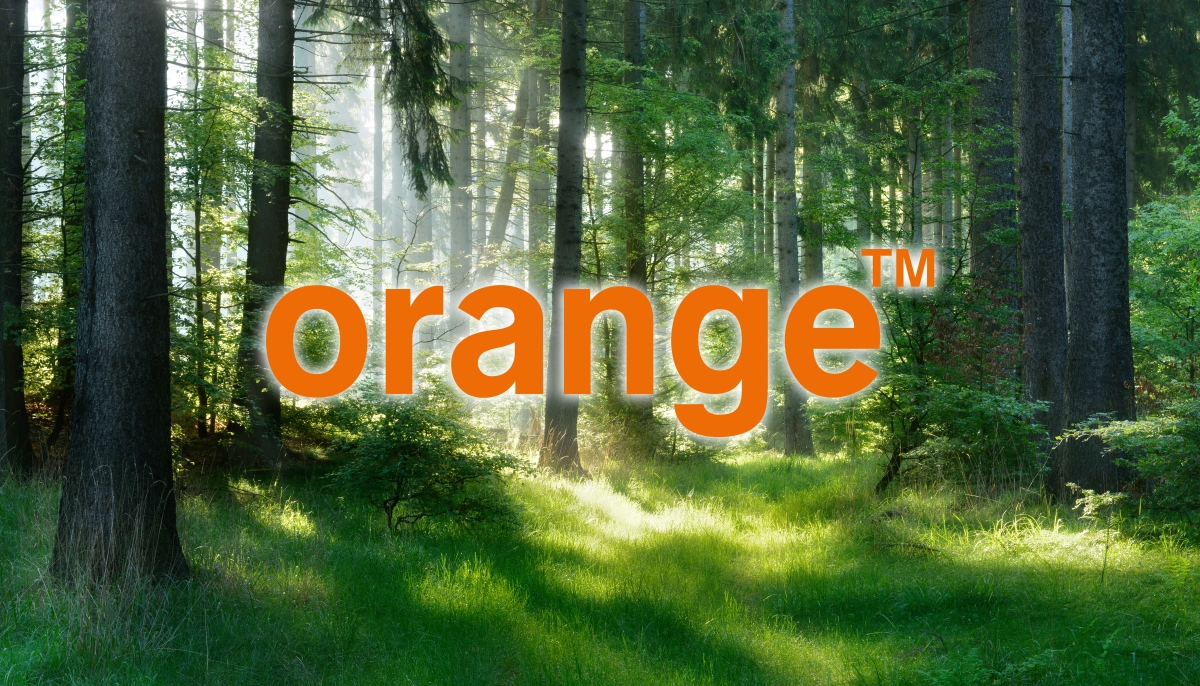 Orange sadzi nowy Las Na Zawsze