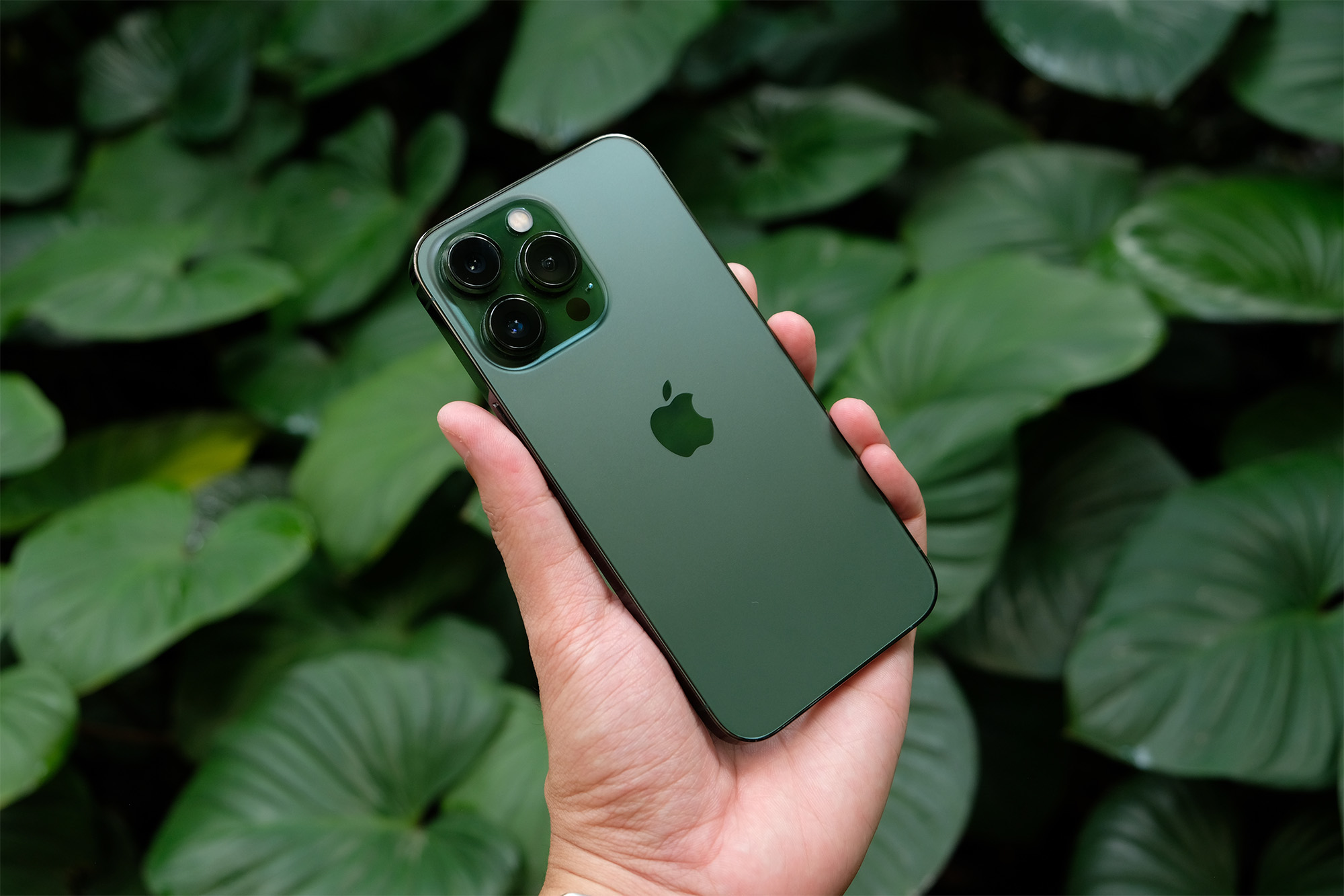 iPhone w Plusie. Niebawem porozmawiasz bez zasięgu