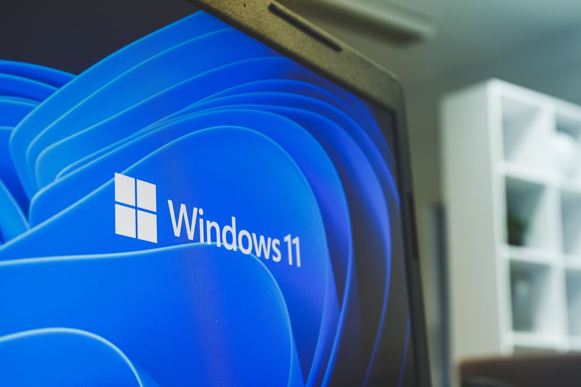 Windows 11. Paint będzie rysował sam